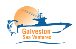 fishing trips in galveston tx