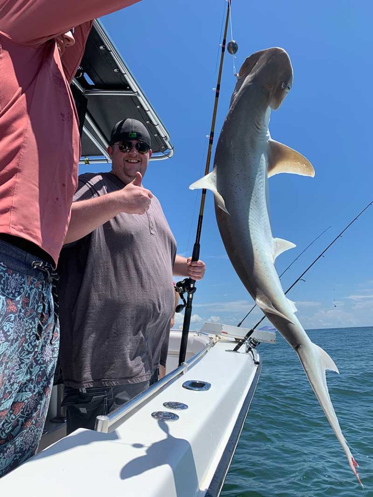 Big Game Shark Fishing, Blue Shark Fishing Charters