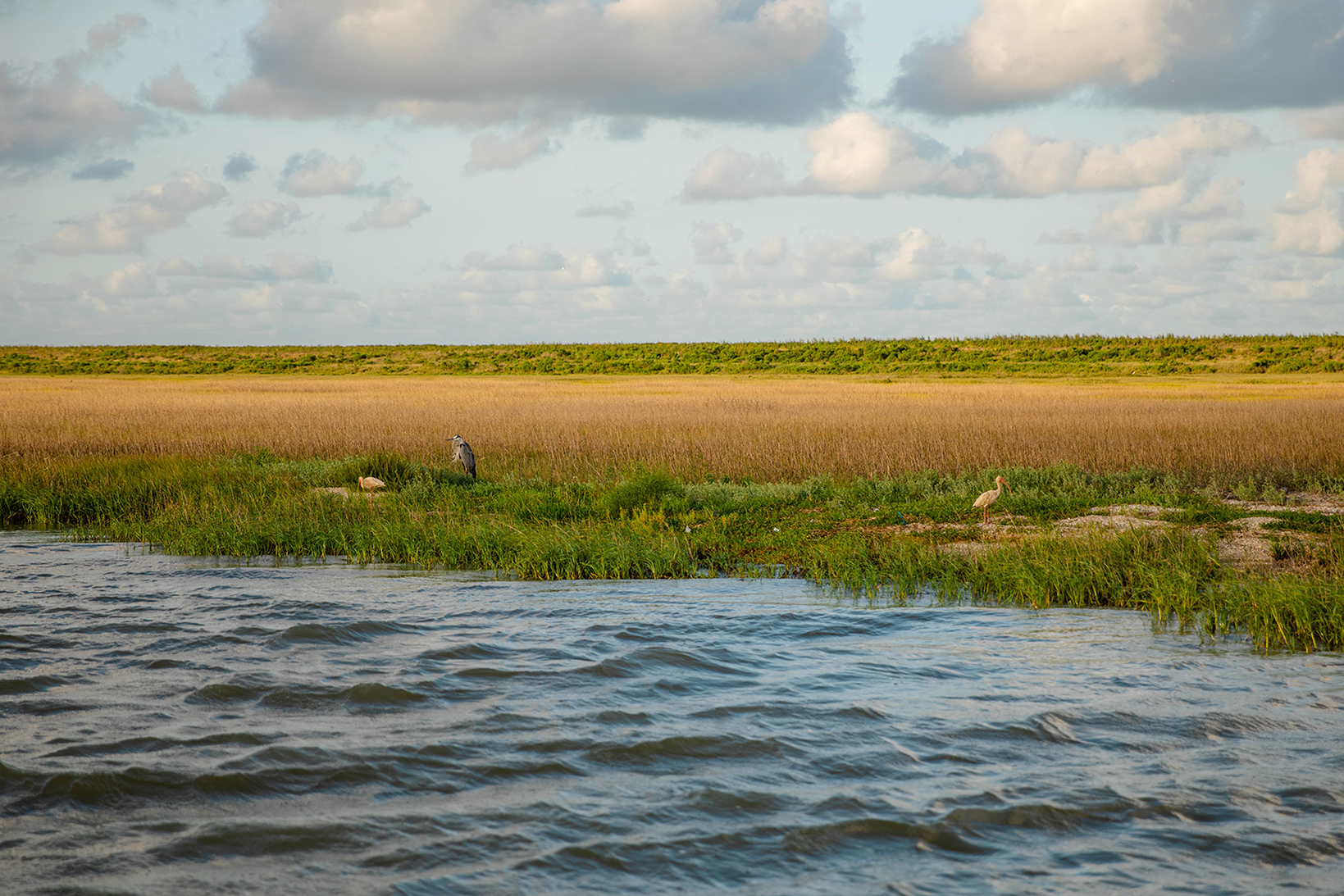 Galveston Sea Adventures