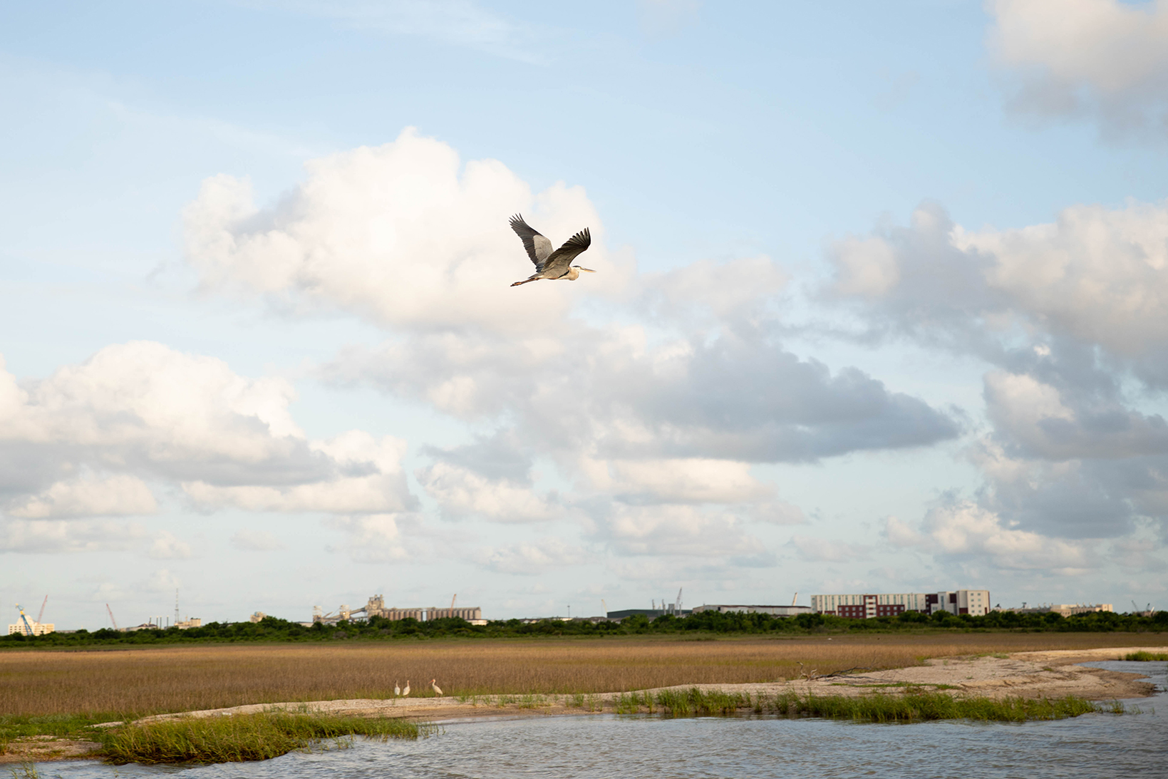 Galveston Sea Adventures