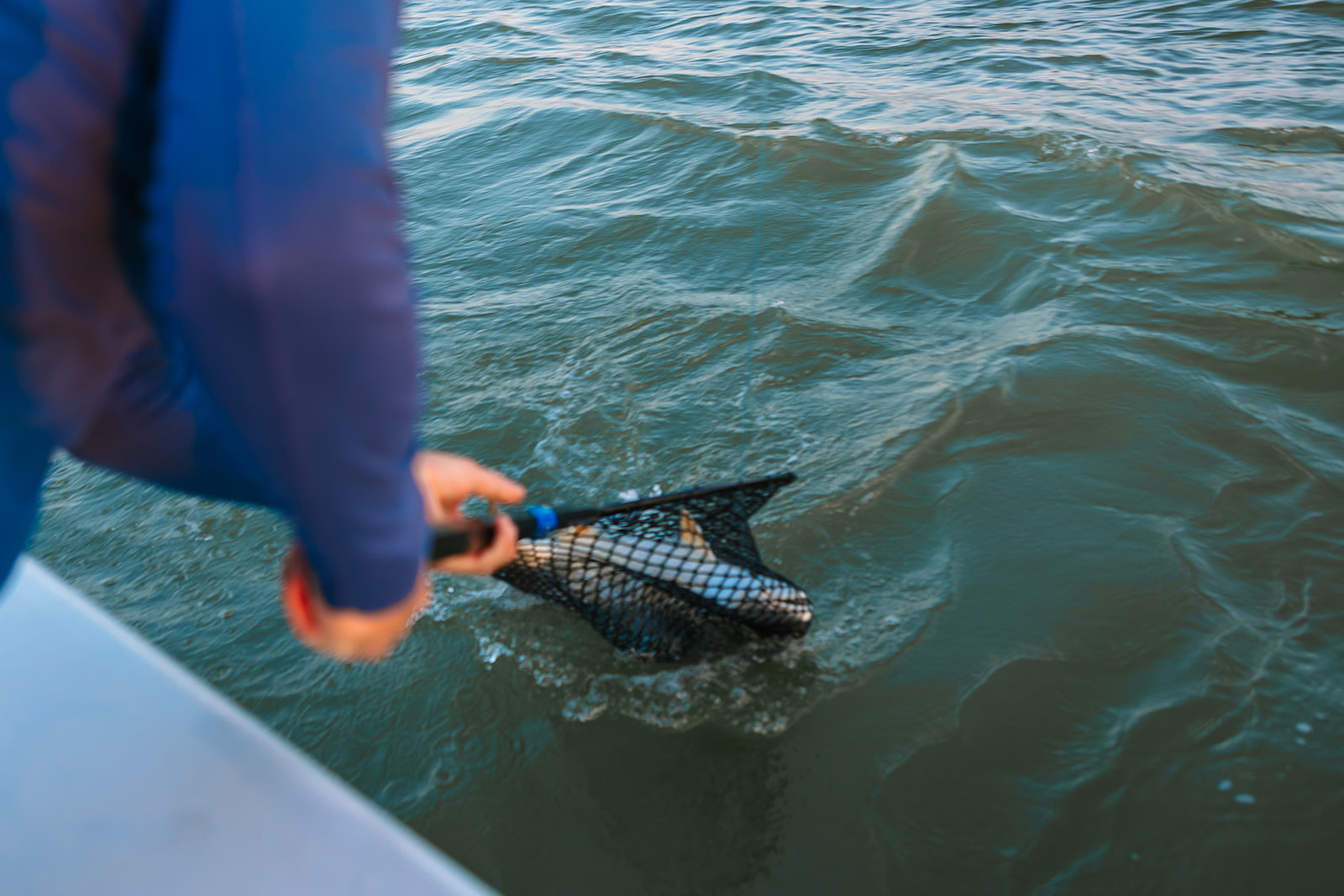 Galveston Sea Ventures